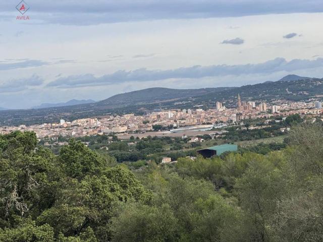 Terreno en Venta en Manacor