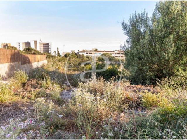Terreno en Venta en Manacor