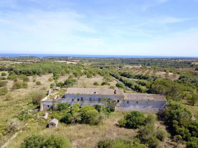 Terreno en Venta en Manacor