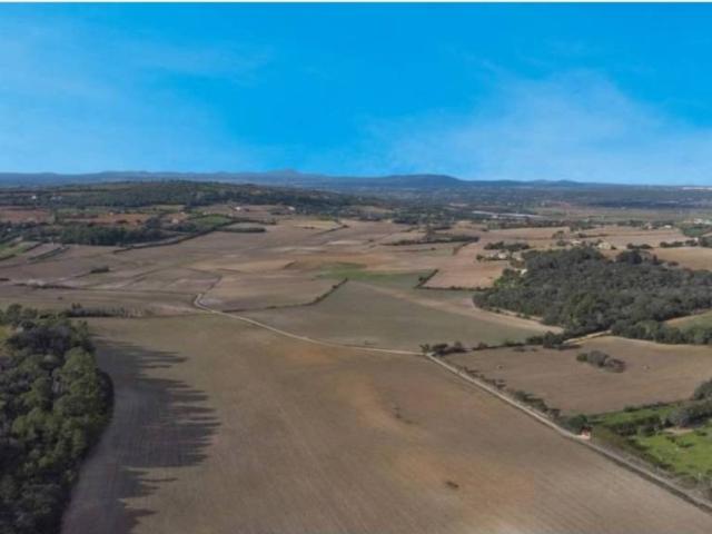 Terreno en Venta en Manacor