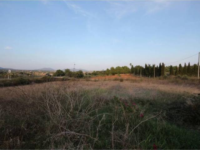 Terreno en Venta en Manacor