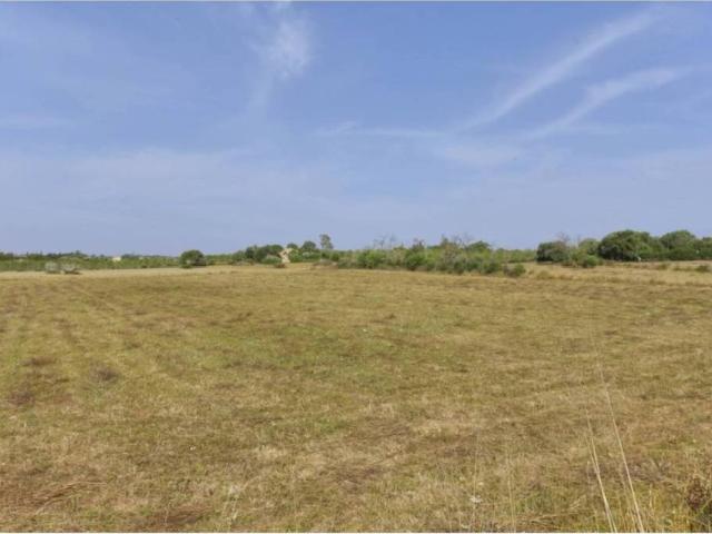 Terreno en Venta en Manacor
