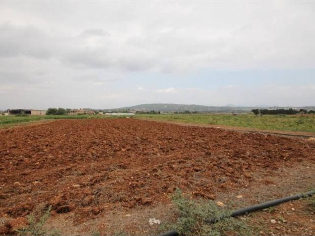 Terreno en Venta en Manacor