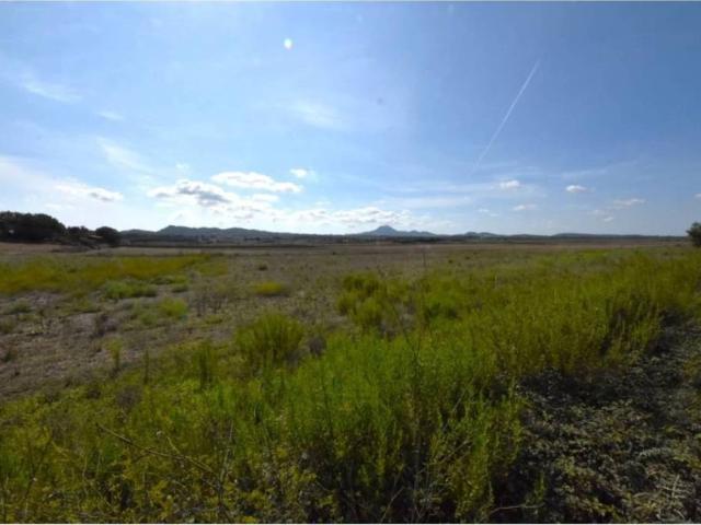 Terreno en Venta en Manacor
