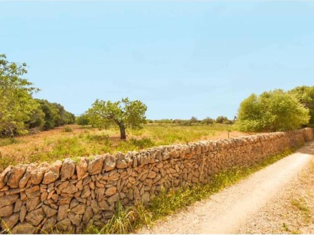 Terreno en Venta en Manacor