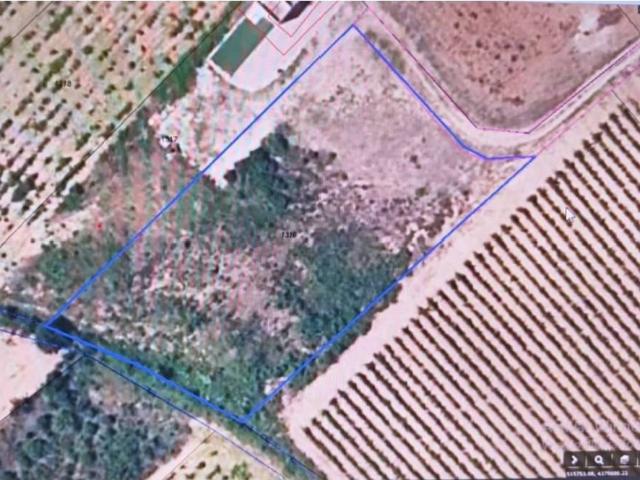 Terreno en Venta en Manacor