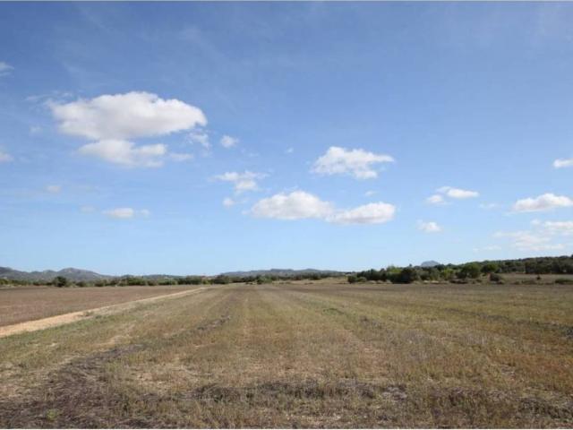 Terreno en Venta en Manacor