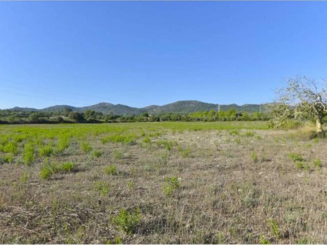 Terreno en Venta en Manacor