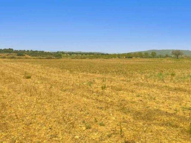 Terreno en Venta en Manacor