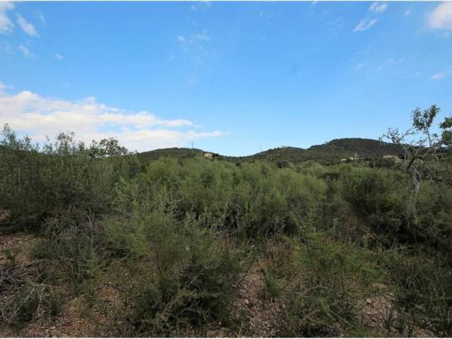 Terreno en Venta en Manacor