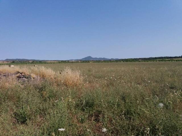 Terreno en Venta en Manacor