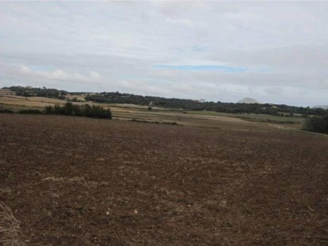 Terreno en Venta en Manacor