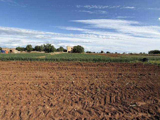 Terreno en Venta en Manacor