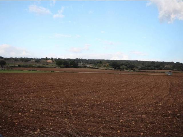 Terreno en Venta en Manacor