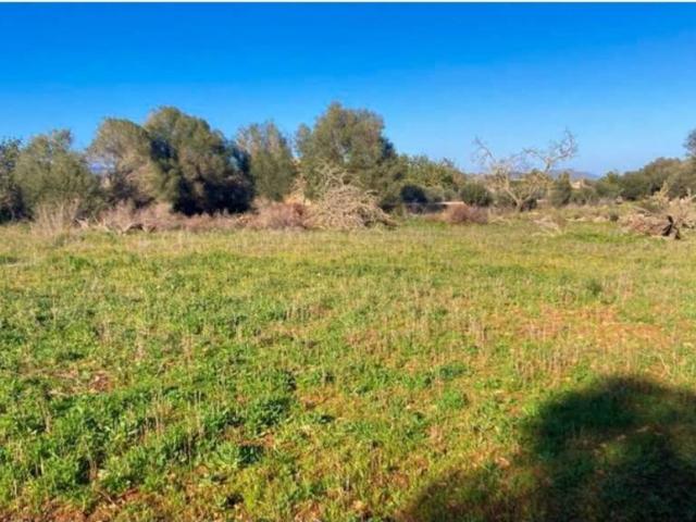 Terreno en Venta en Manacor