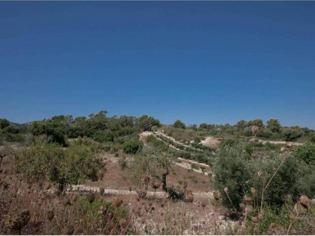 Terreno en Venta en Manacor