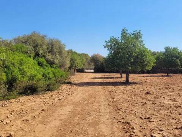 Terreno en Venta en Manacor