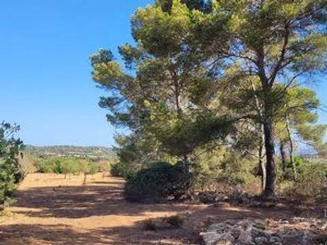 Terreno en Venta en Manacor