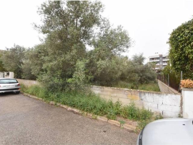 Terreno en Venta en Manacor