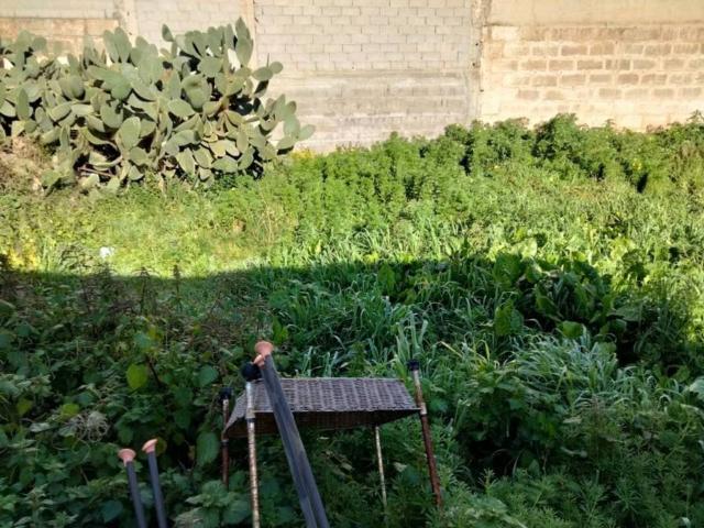 Terreno en Venta en Manacor