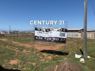 Terreno en venta en maneadero camino a la bufadora