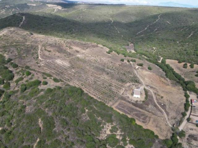 Terreno en Venta en Manilva