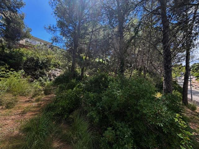 Terreno en venta en Mas Alba en calle Plana Novella
