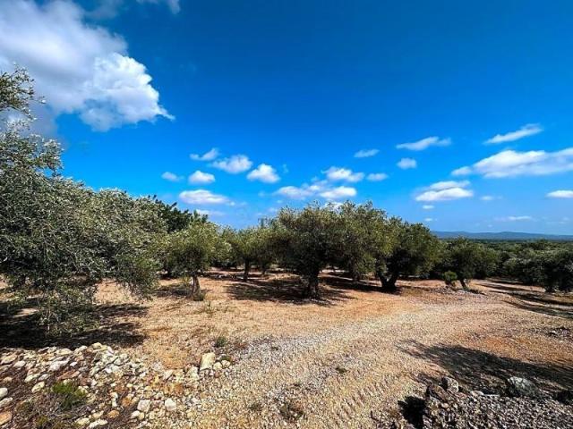 Terreno en venta en Mas de Barberans