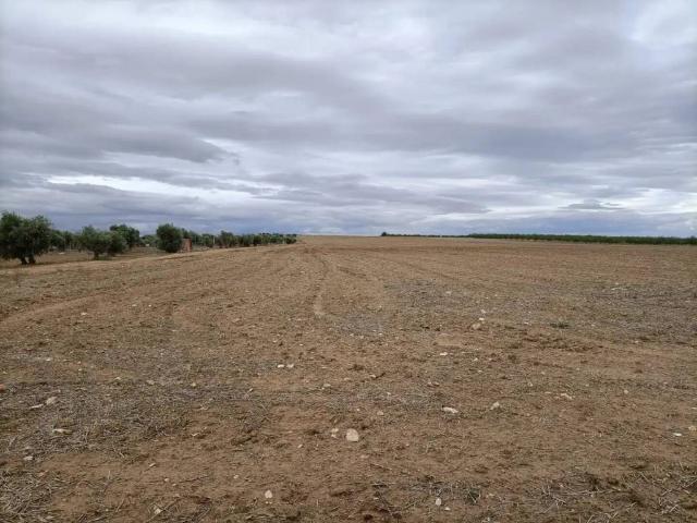 Terreno en Venta en Mascaraque