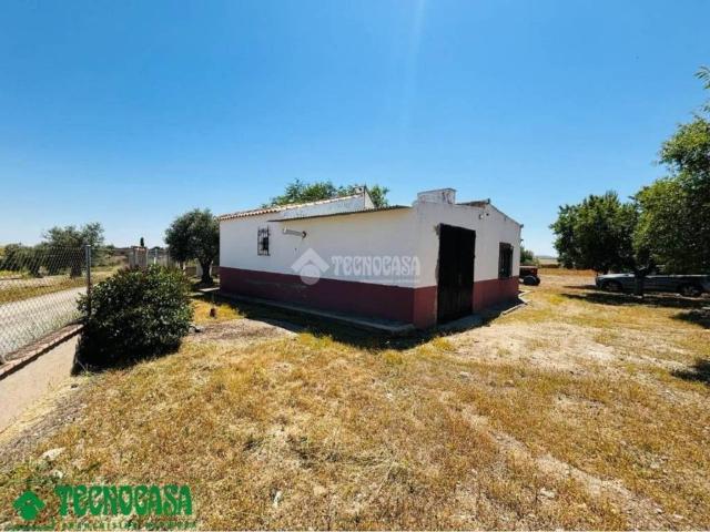 Terreno en Venta en Mascaraque