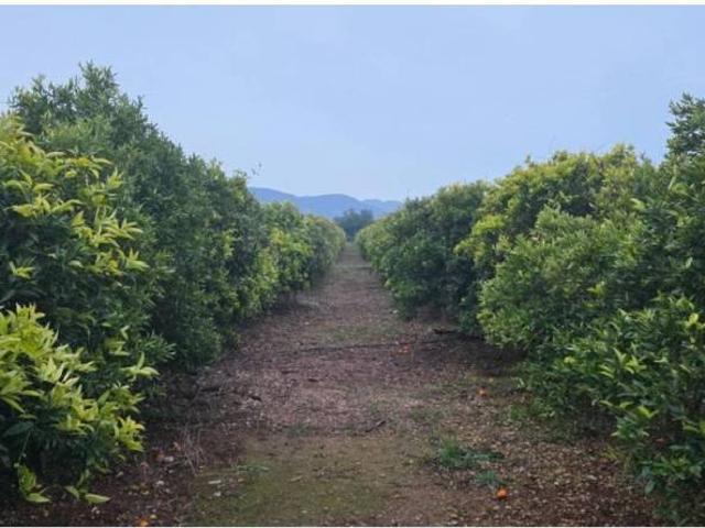 Terreno en Venta en Masdenverge
