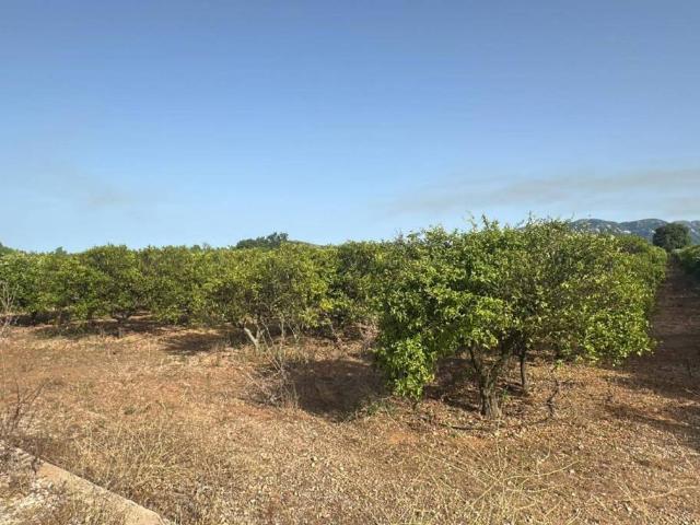 Terreno en Venta en Masdenverge