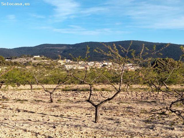 Terreno en venta en Masets, n52 TORREMANZANAS