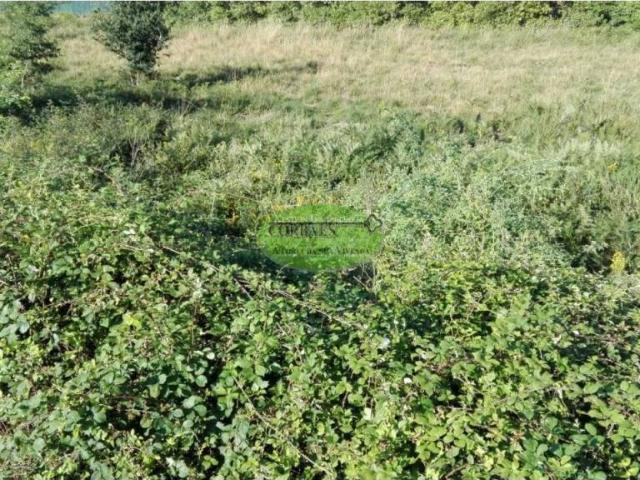 Terreno en Venta en Maside