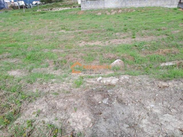 Terreno en Venta en Maside