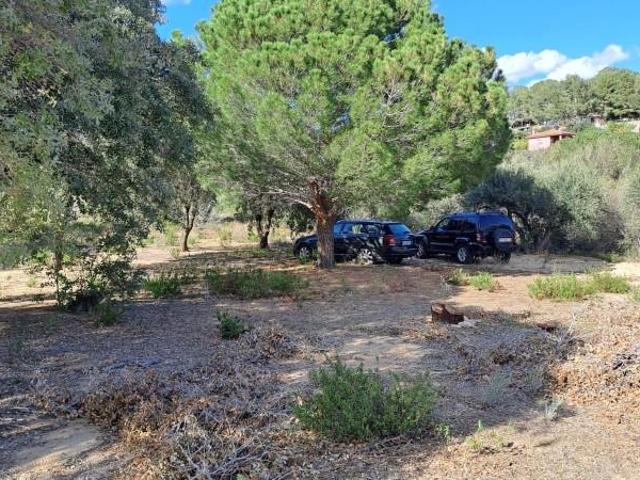 Terreno en venta en Maspujols, Partida Camp de Vacas