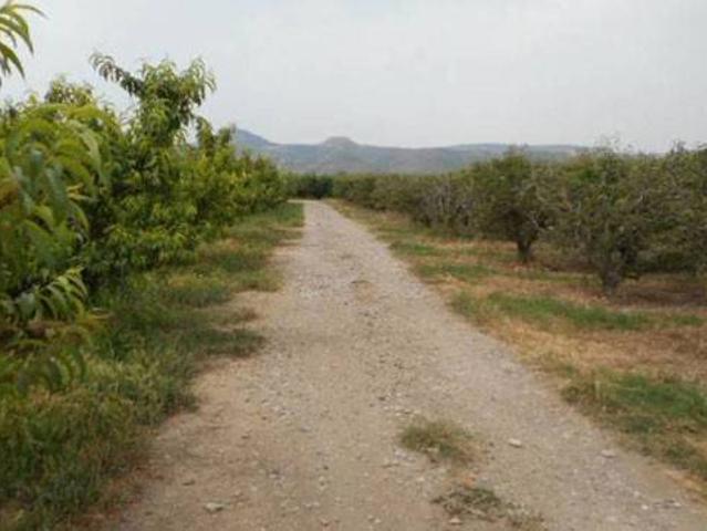 Terreno en Venta en Massalcoreig