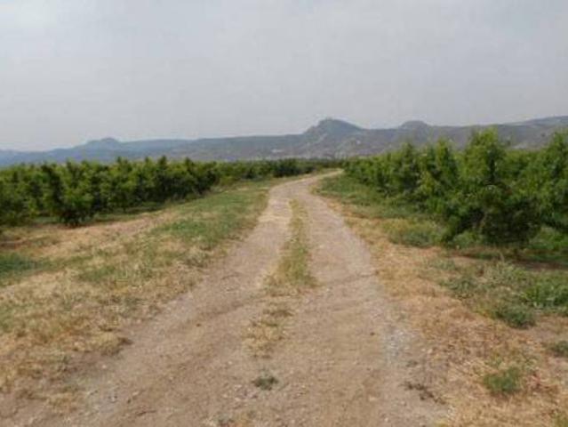 Terreno en Venta en Massalcoreig