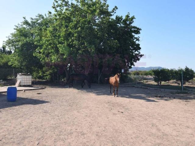 Terreno en Venta en Massamagrell