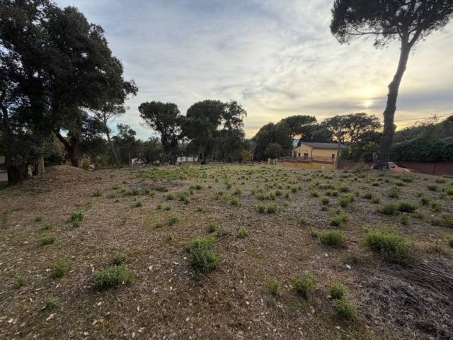 Terreno en Venta en Massanes