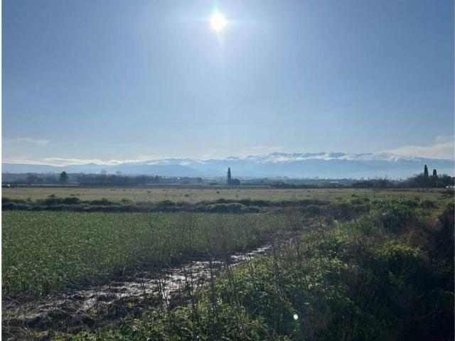 Terreno en Venta en Maracena