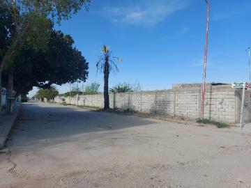 Terreno en venta en María Mercado de López Sánchez, Torreón, Coahuila de Zaragoza