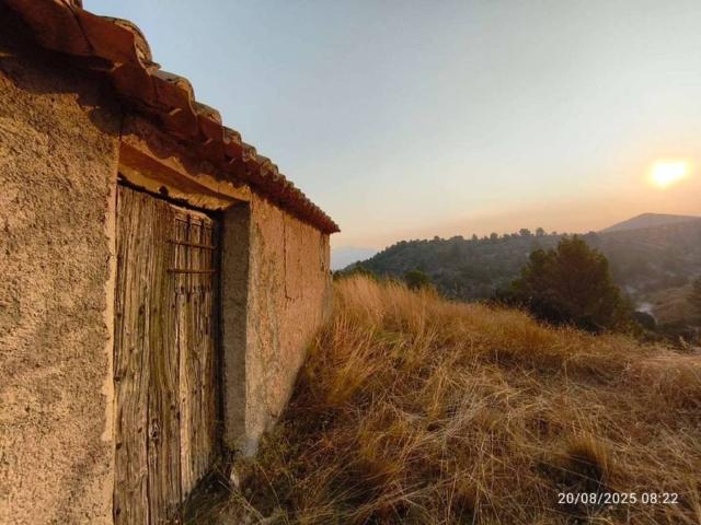 Terreno en Venta en María