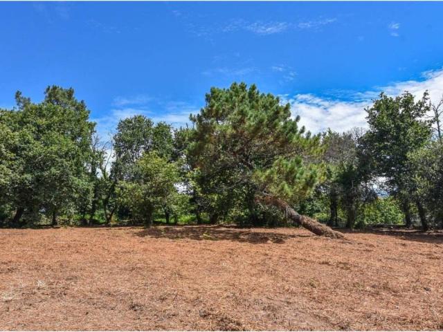 Terreno en Venta en Marín