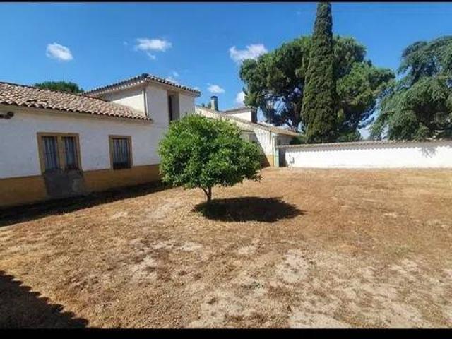 Terreno en Venta en Marrupe