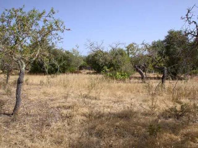 Terreno en Venta en Marratxí