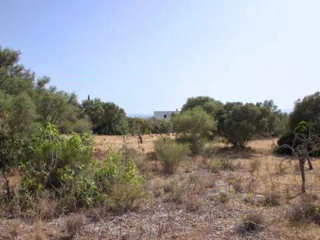 Terreno en Venta en Marratxí