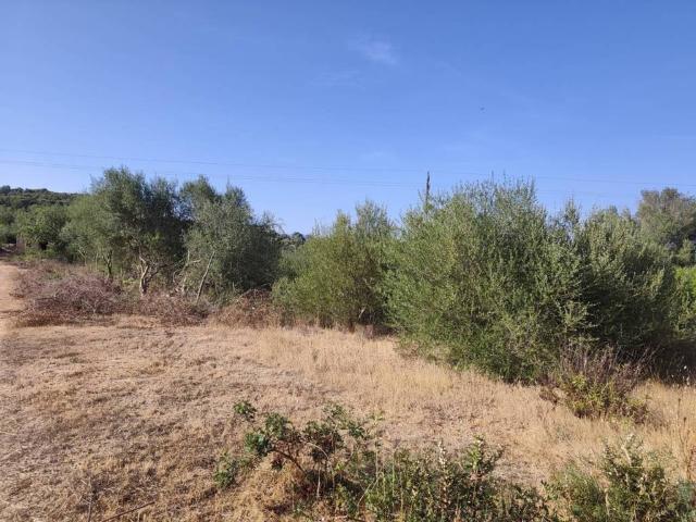 Terreno en Venta en Marratxí