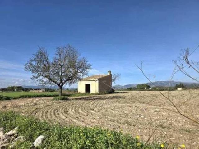 Terreno en Venta en Marratxí