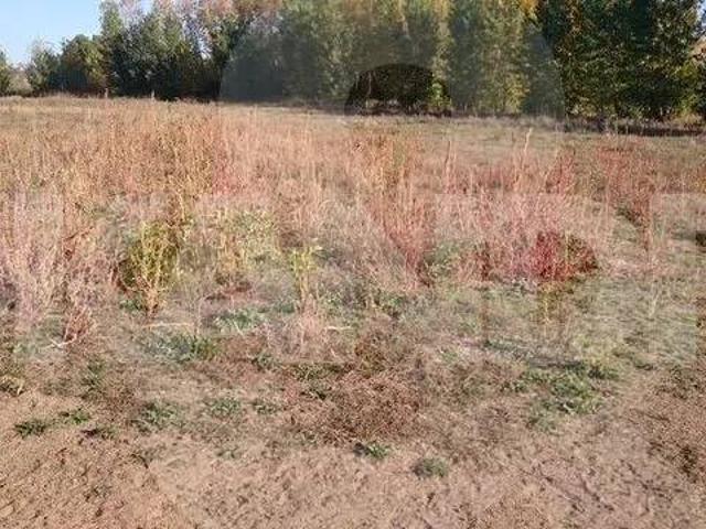 Terreno en Venta en Martinamor
